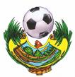 20091028153833-futbol...2.jpg